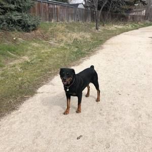 Meet your Posher, Mark